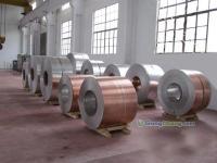 銅鋁復合板在銅門行業(yè)的應用及推薦